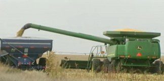 Pros and Cons of Agricultural Subsidies Pros and Cons of Agricultural Subsidies